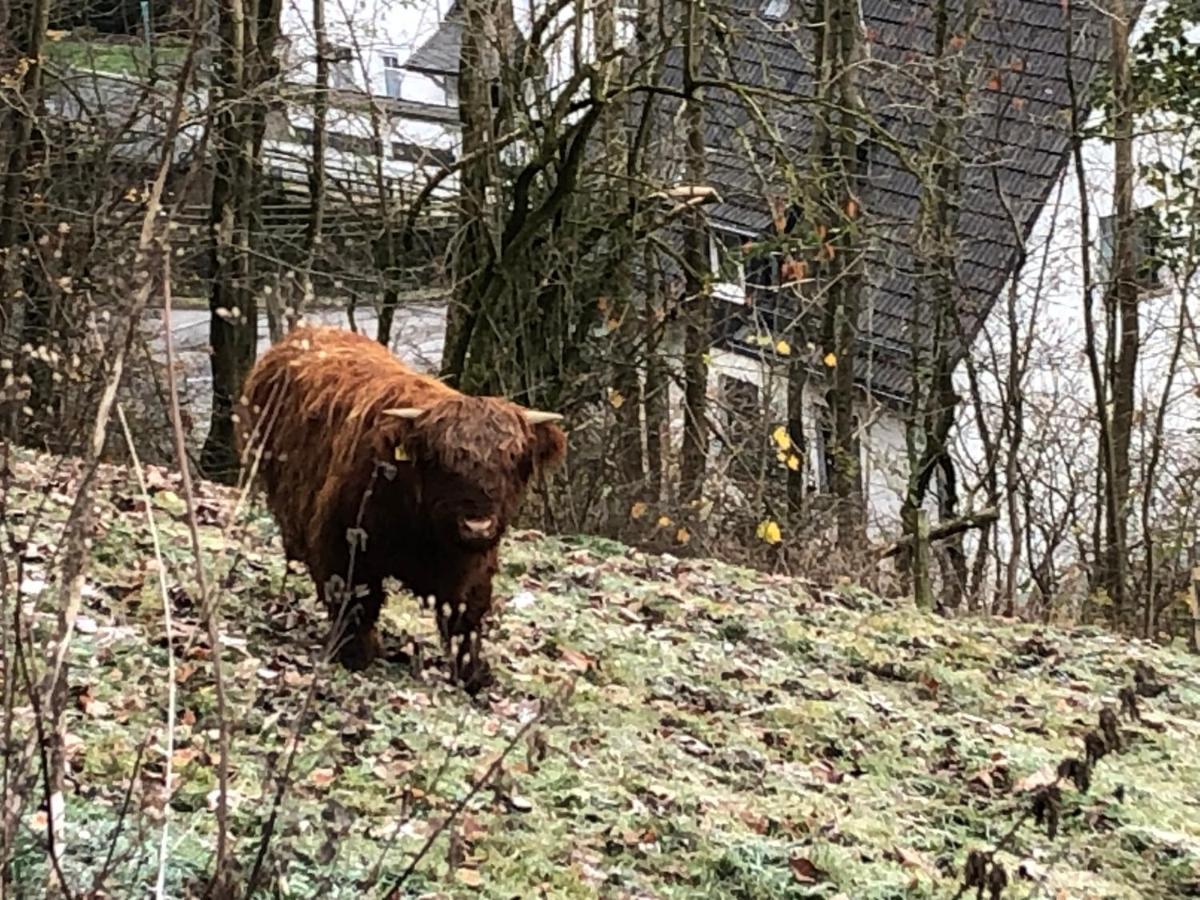 Ferienwohnung Koelbel Familienurlaub In Der Natur Schmallenberg Bagian luar foto